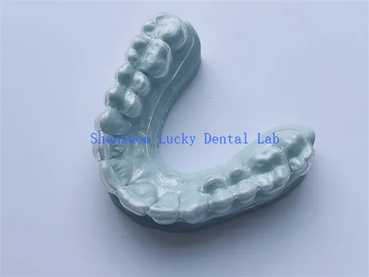 Gwneuthurwyr hambwrdd cannu wedi'u haddasu